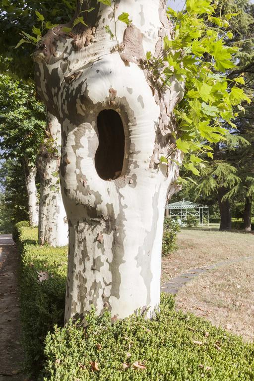 Hotel Bricco Pogliani CastellʼAlfero Exteriér fotografie